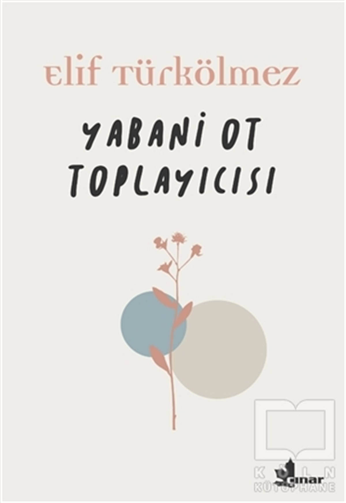 Elif TürkölmezTürk Edebiyatı KitaplarıYabani Ot Toplayıcısı