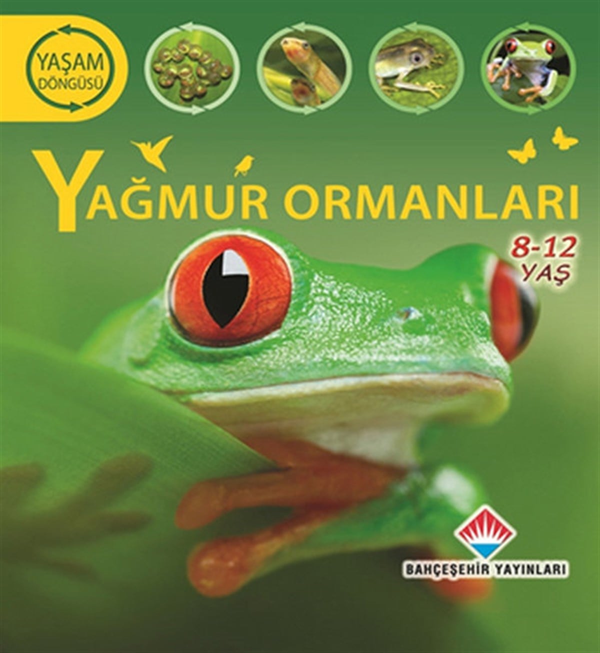 Sean CalleryBiyoloji/GenetikYağmur Ormanları