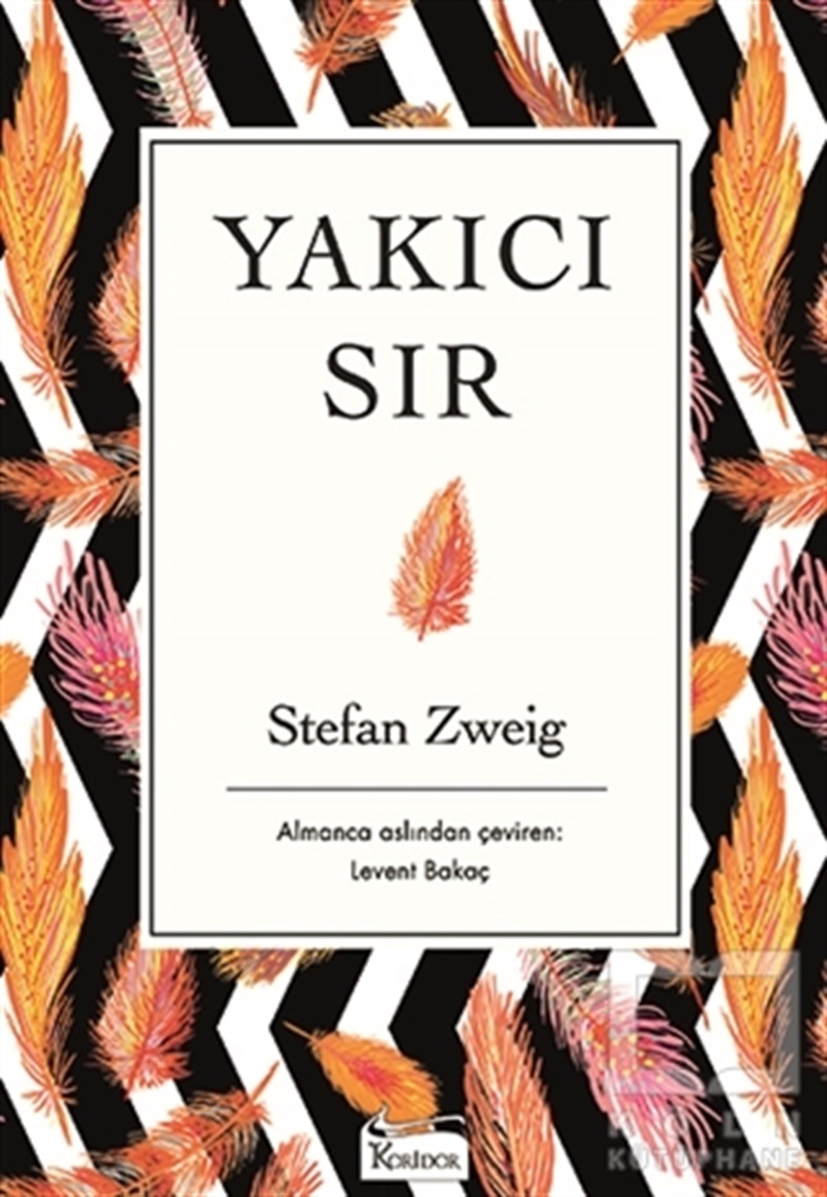 Stefan Zweigİngiliz EdebiyatıYakıcı Sır