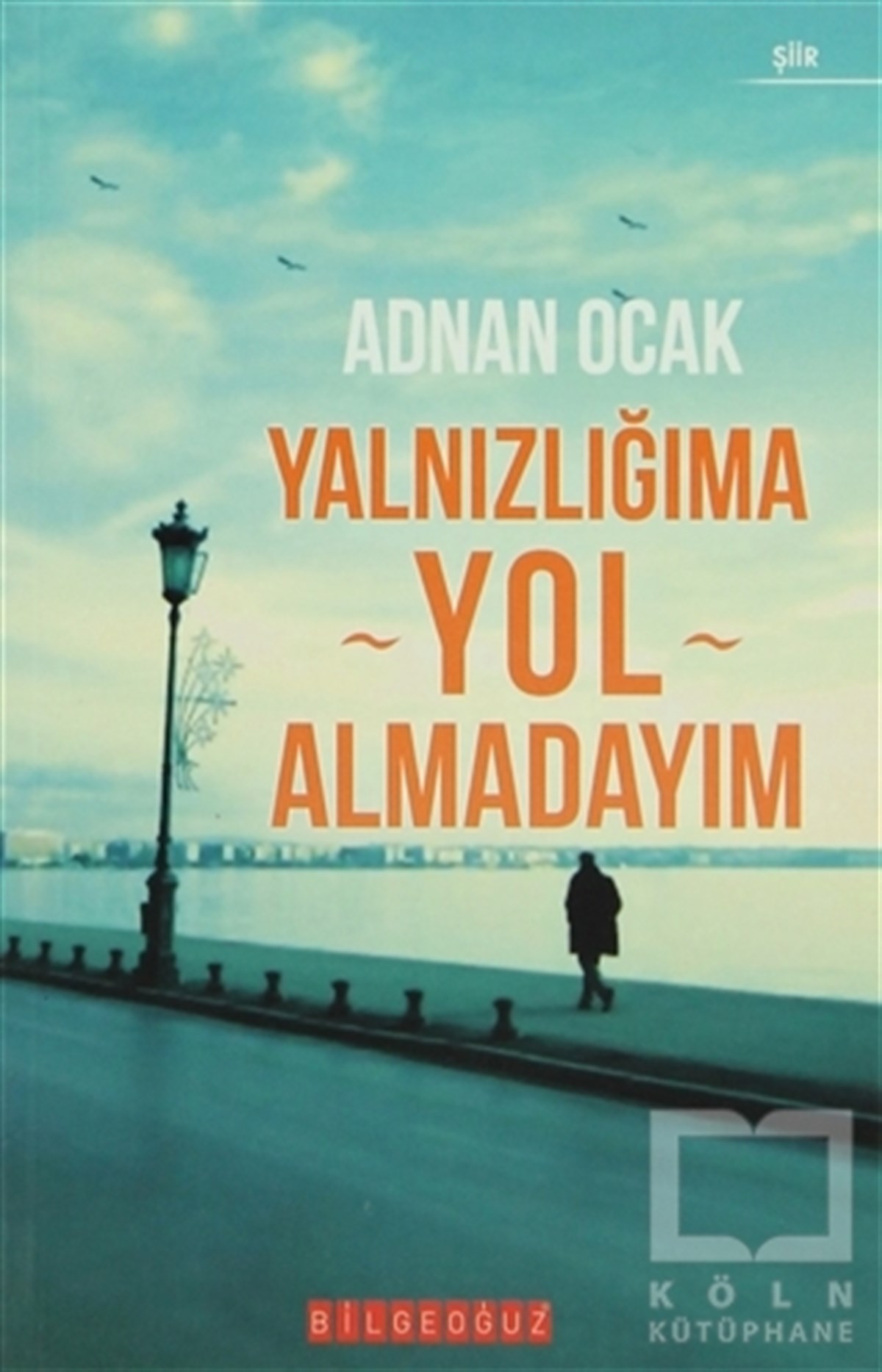 Yalnızlığıma Yol Almadayım