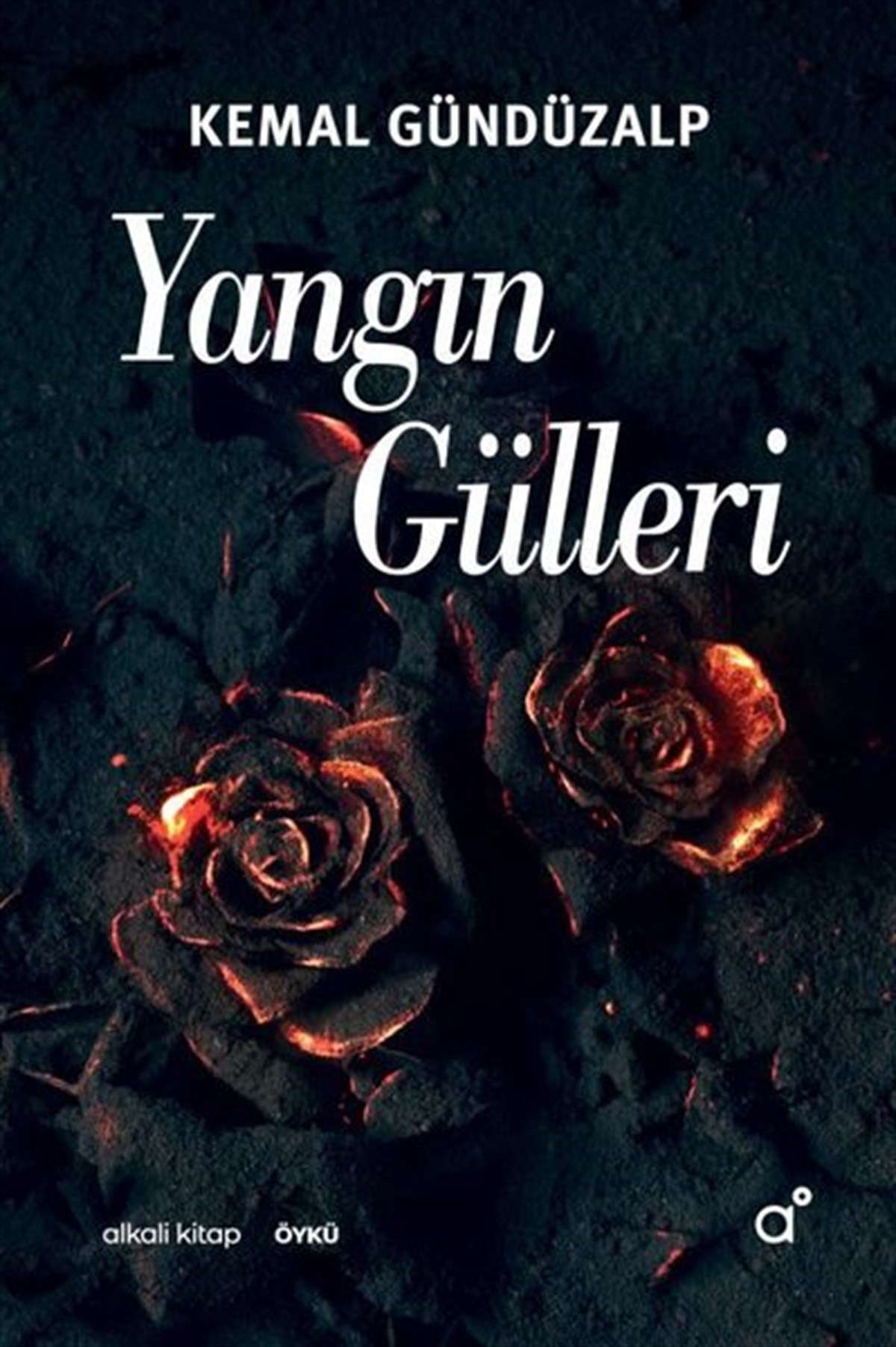 Kemal GündüzalpTürkiye RomanYangın Gülleri
