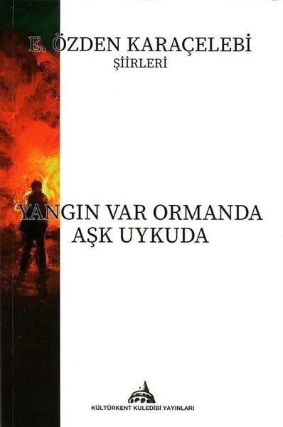 E. Özden KaraçelebiTürk ŞiiriYangın Var Ormanda Aşk Uykuda