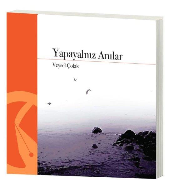 Veysel ÇolakTürk ŞiiriYapayalnız Anılar