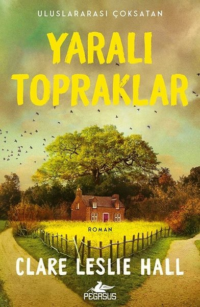 Clare Leslie HallDünya RomanYaralı Topraklar