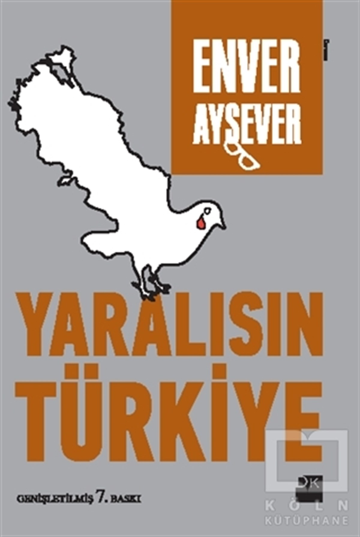 Enver AyseverDenemeYaralısın Türkiye