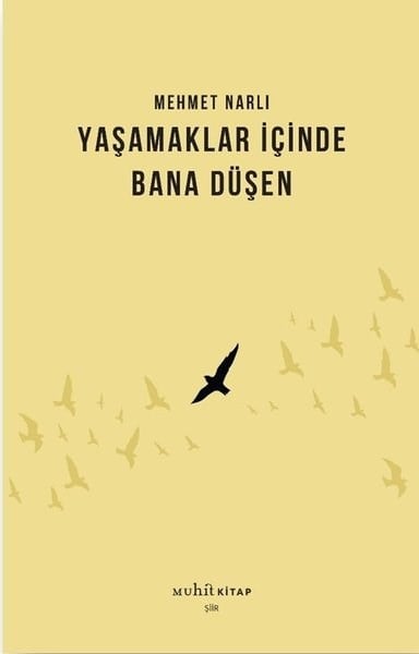 Mehmet NarlıTürk ŞiiriYaşamaklar İçinde Bana Düşen