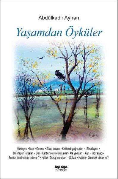 Abdülkadir AyhanHikaye (Öykü) KitaplarıYaşamdan Öyküler