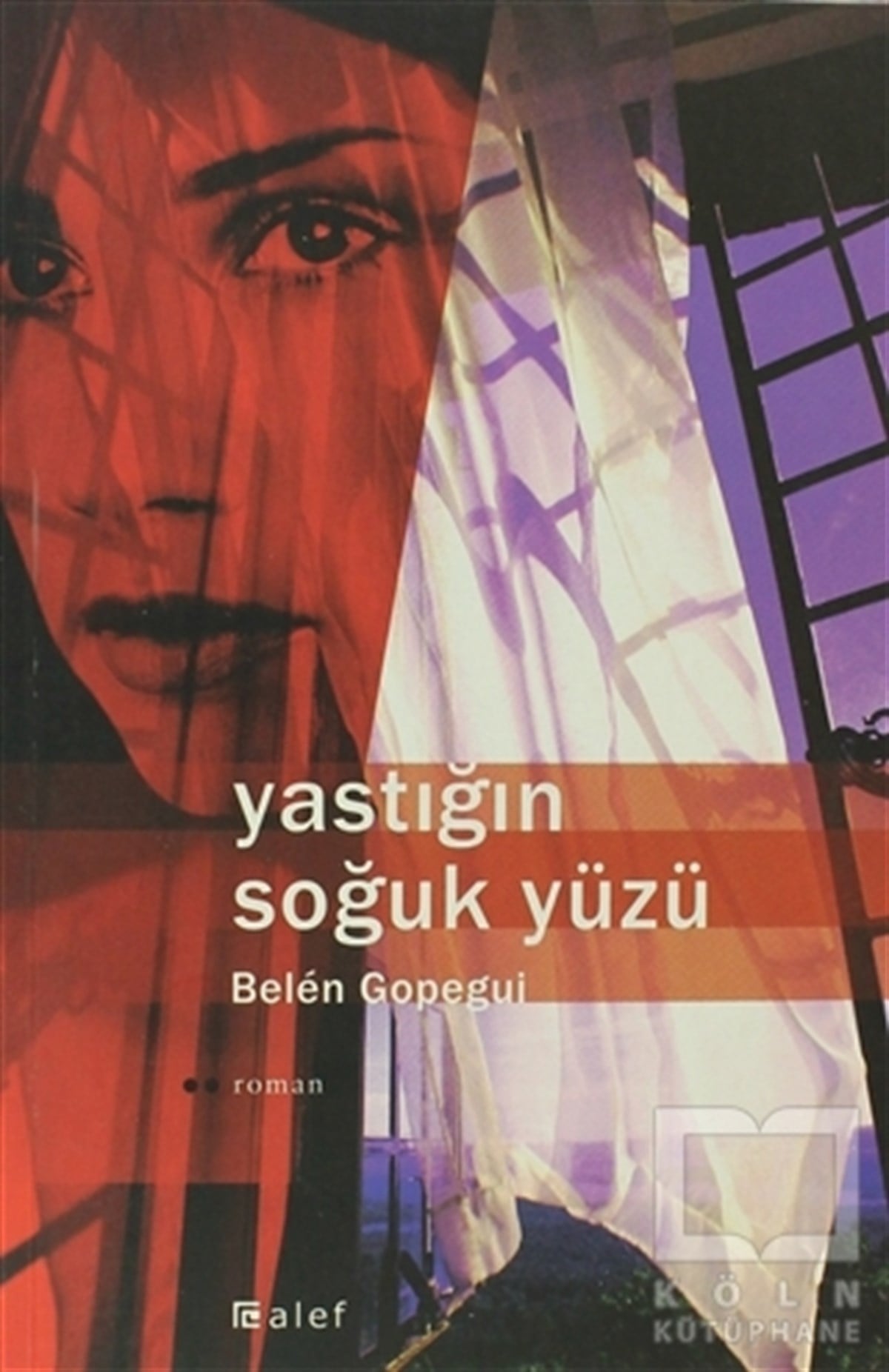 Belen Gopeguiİspanyol EdebiyatıYastığın Soğuk Yüzü