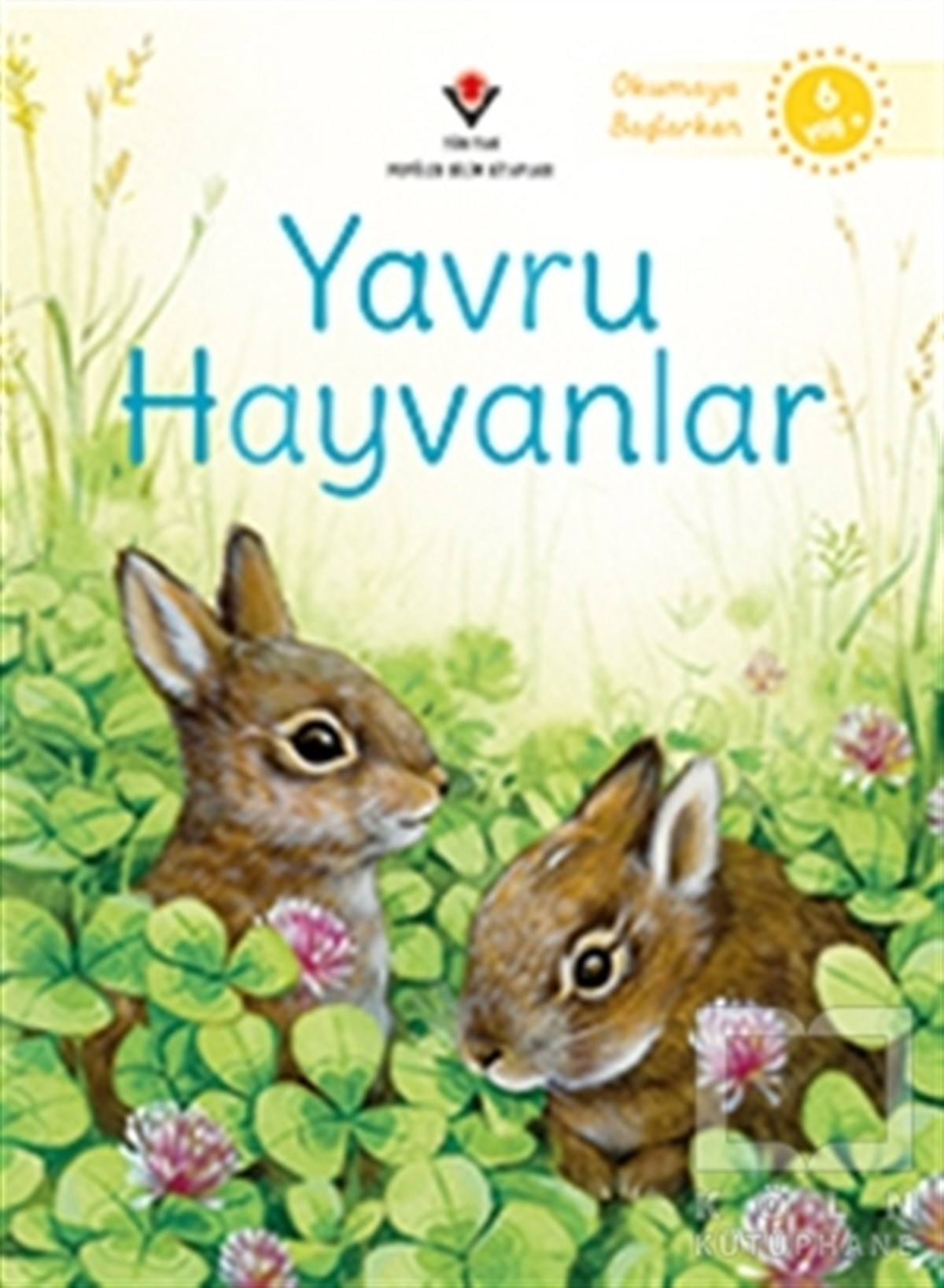Emily BoneHikayelerYavru Hayvanlar - Okumaya Başlarken