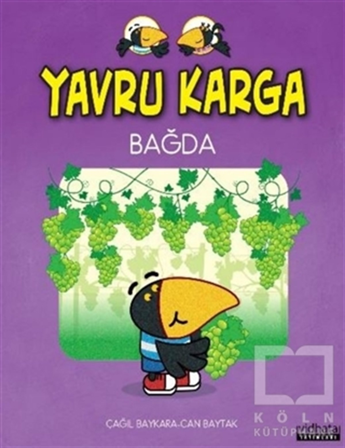 Çağıl BaykaraHikayelerYavru Karga Bağda