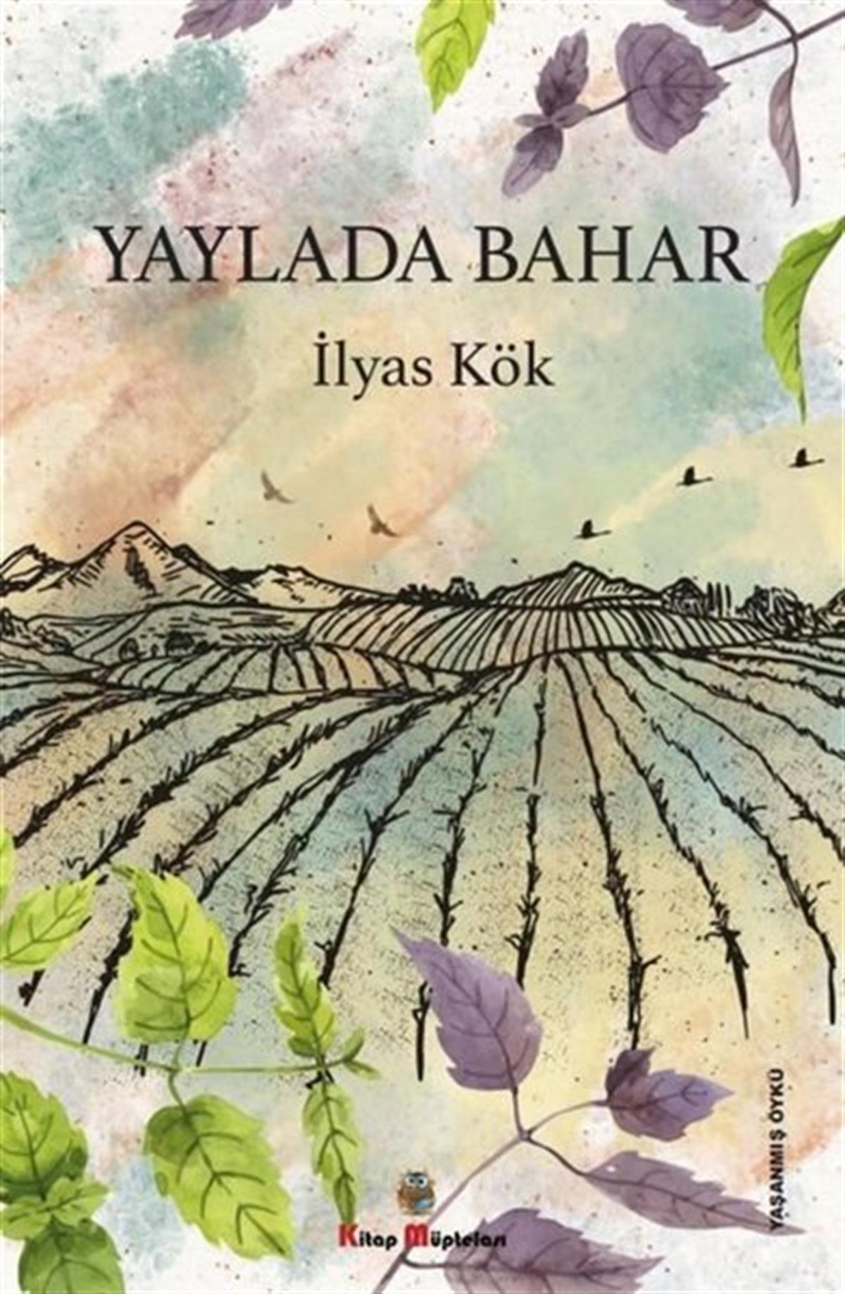 İlyas KökHikaye (Öykü) KitaplarıYaylada Bahar