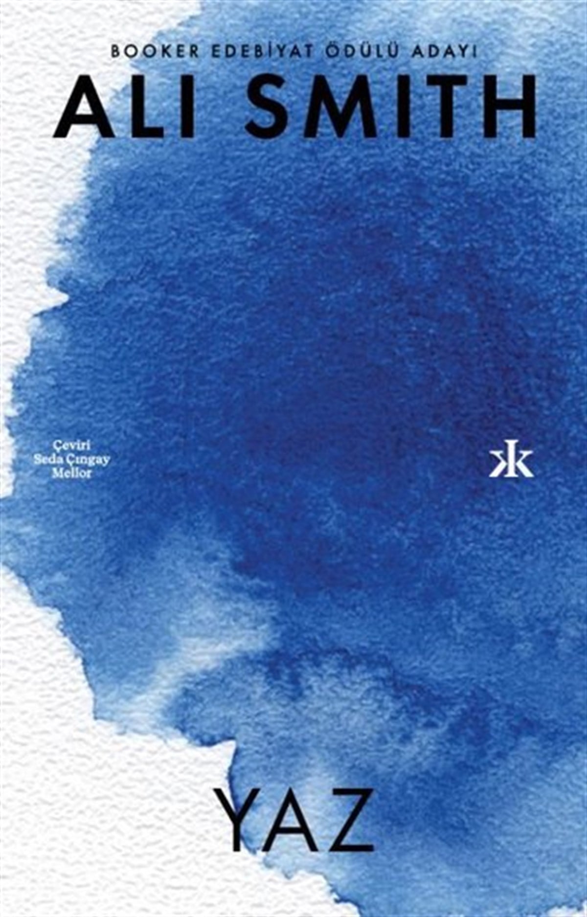 Ali SmithDünya RomanYaz