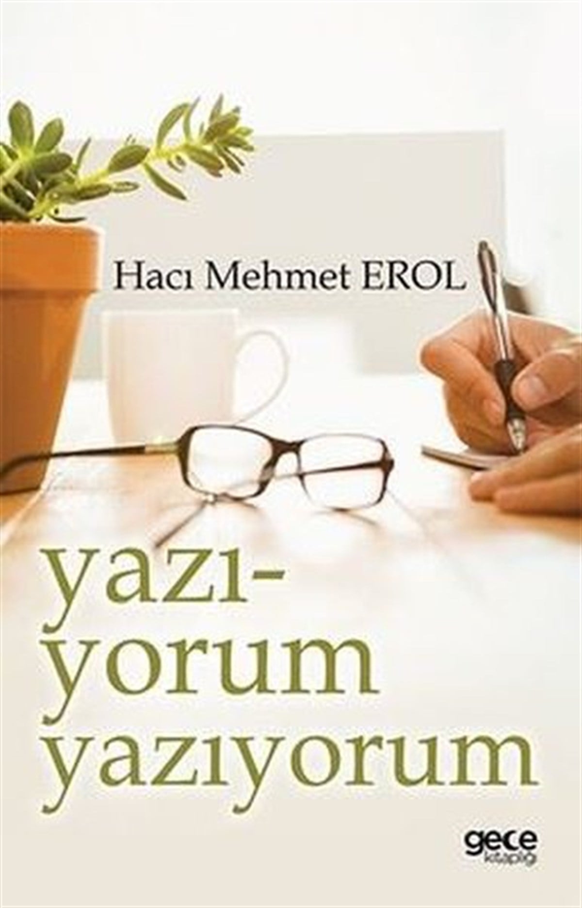 Hacı Mehmet ErolDeneme KitaplarıYazı-yorum Yazıyorum