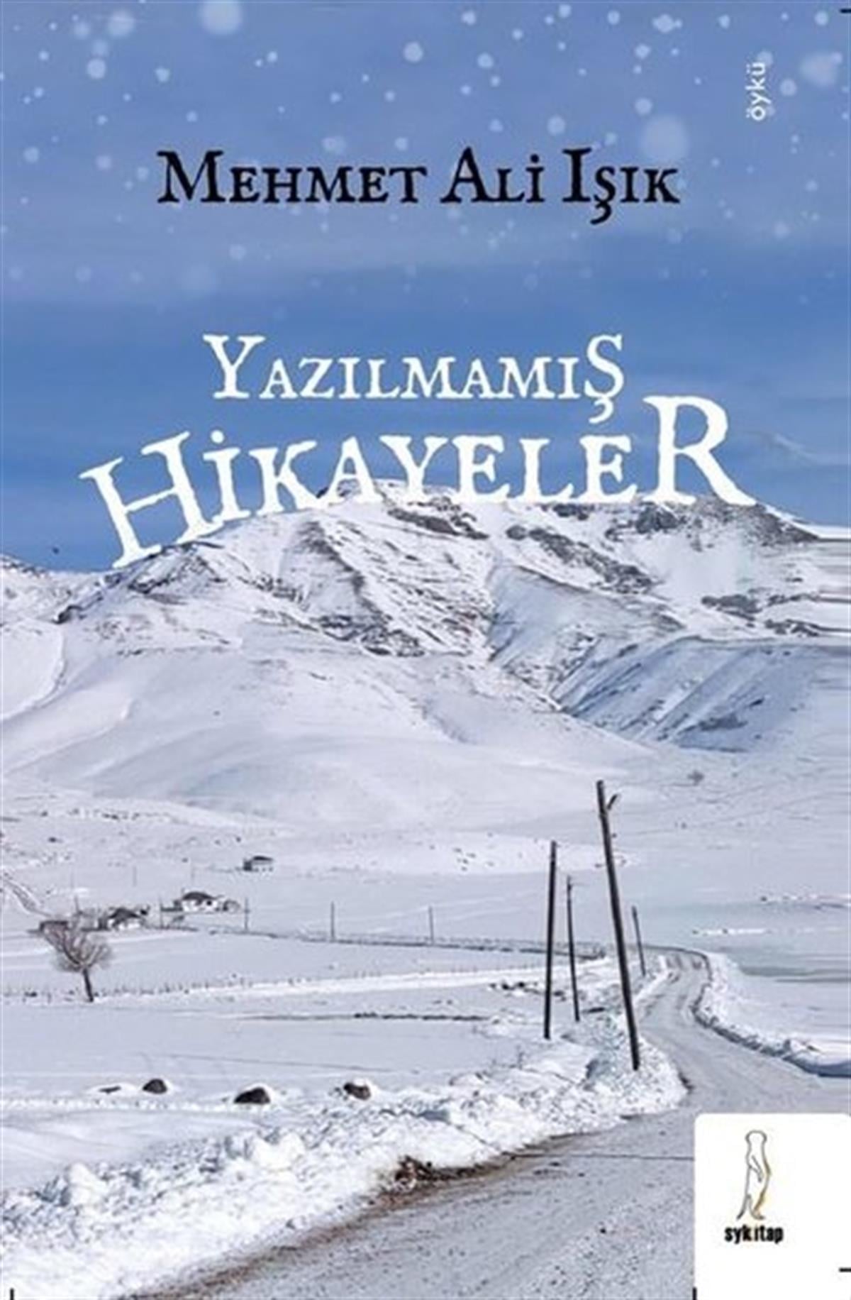 Mehmet Ali IşıkTürkiye RomanYazılmamış Hikayeler