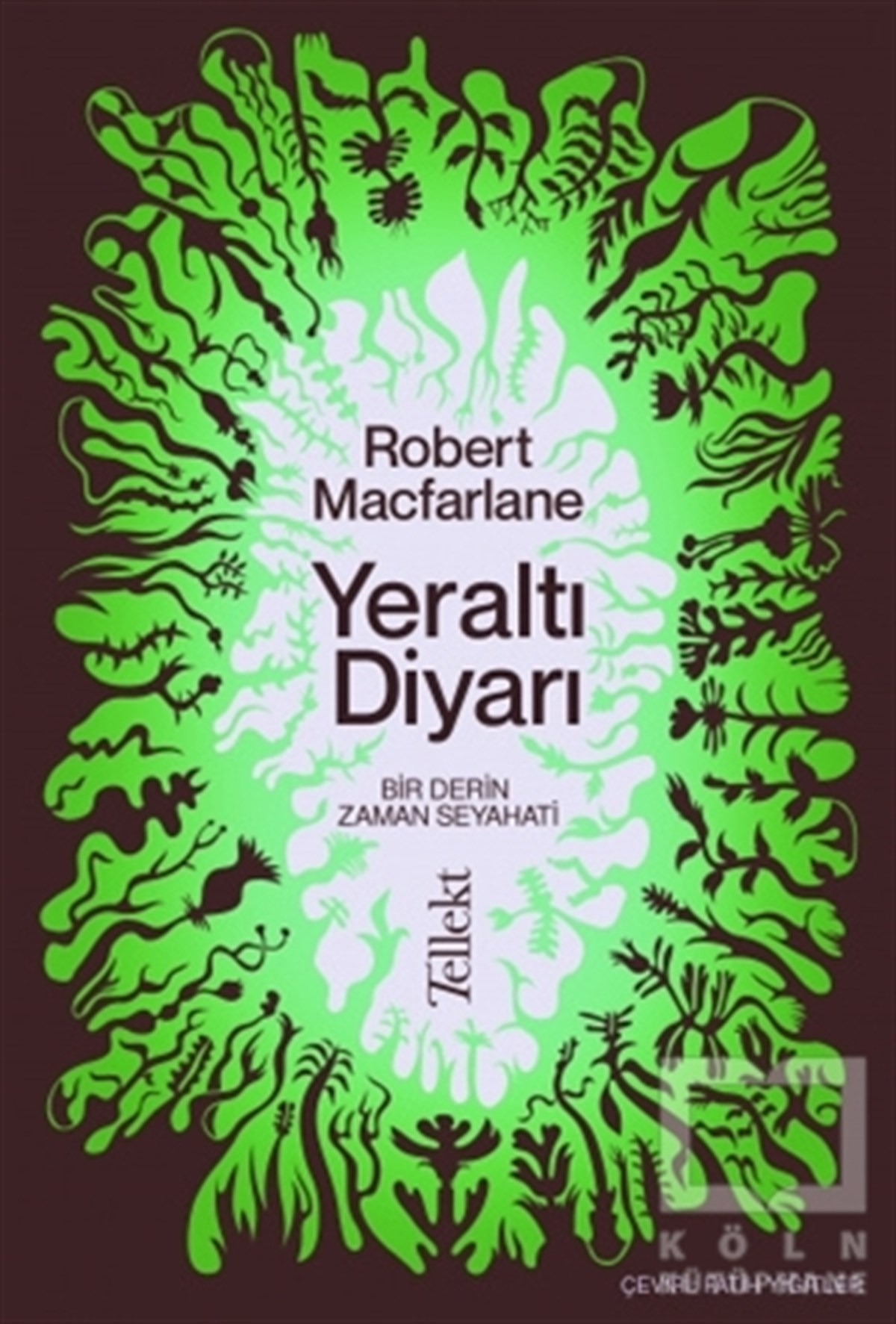 Robert MacfarlaneAraştırma - İncelemeYeraltı Diyarı
