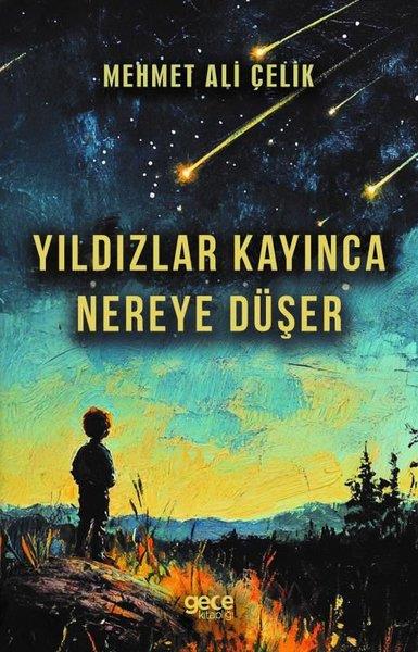 Mehmet Ali ÇelikelTürk RomaniYıldızlar Kayınca Nereye Düşer
