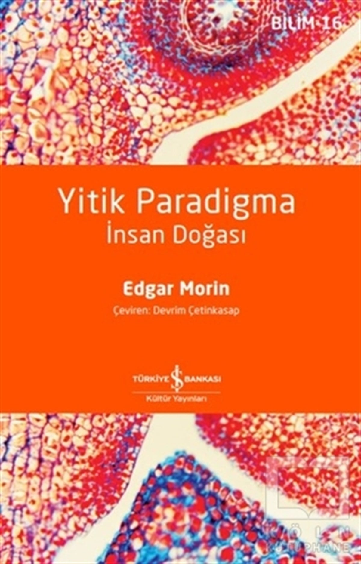 Edgar MorinWissenschaftYitik Paradigma