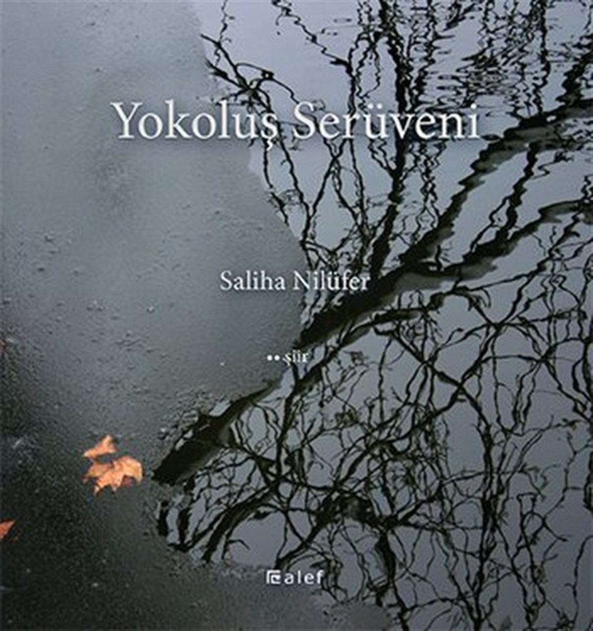 Saliha NilüferTürk ŞiiriYokoluş Serüveni