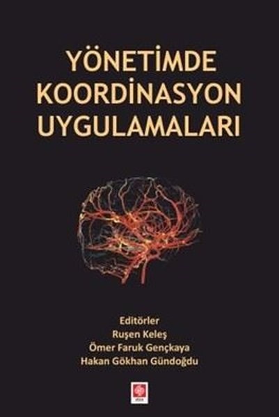 KolektifDigerYönetimde Koordinasyon Uygulamaları