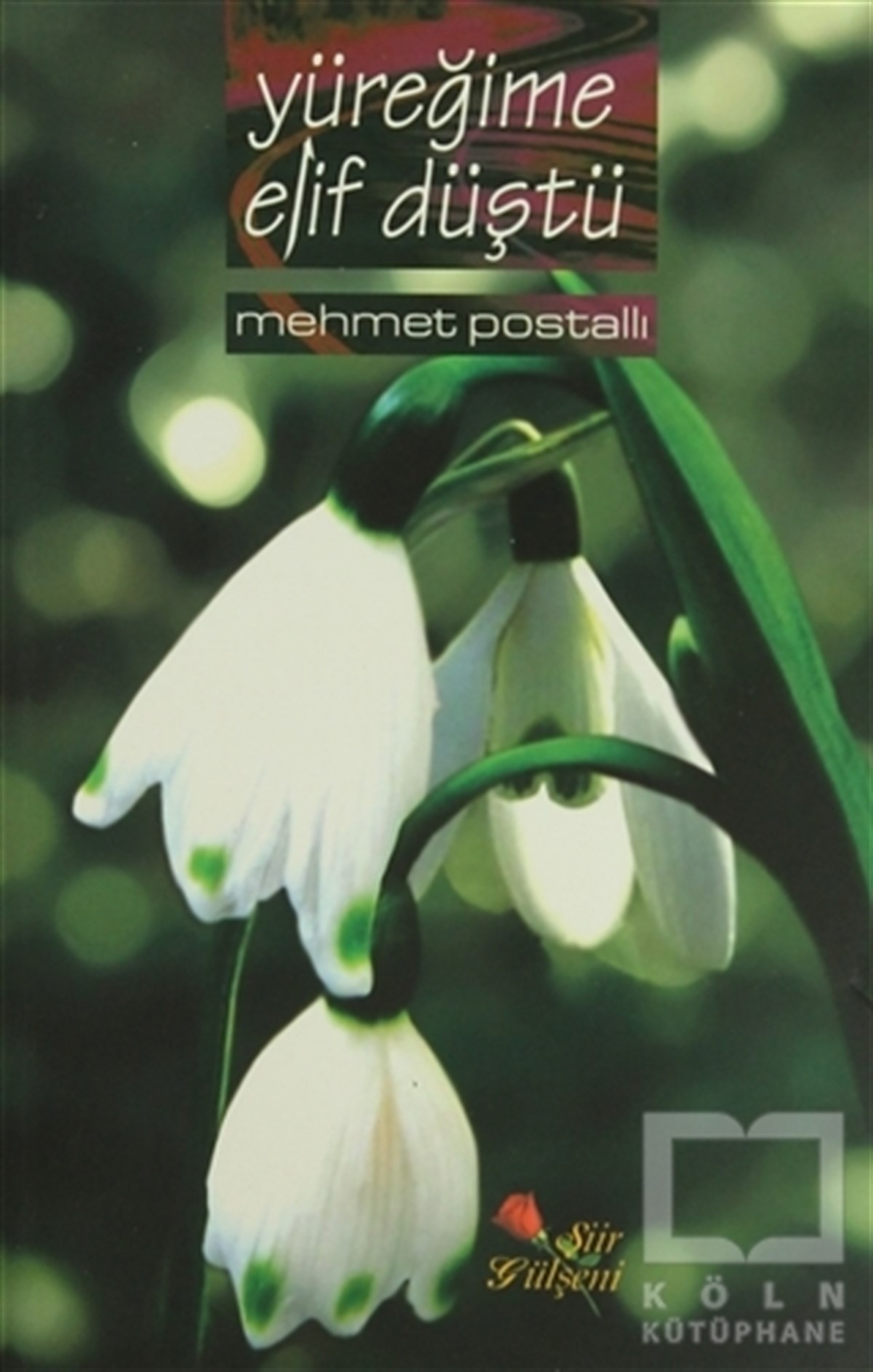 Mehmet PostallıŞiirYüreğime Elif Düştü