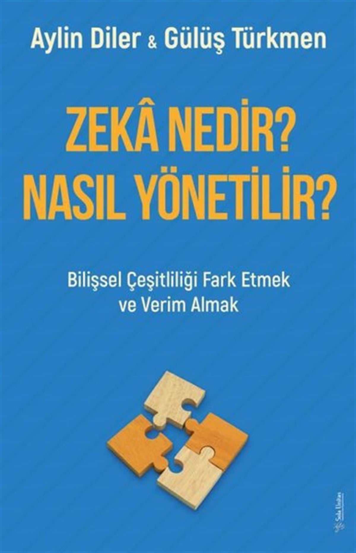 Aylin DilerPsikoloji BilimiZeka Nedir? Nasıl Yönetilir?