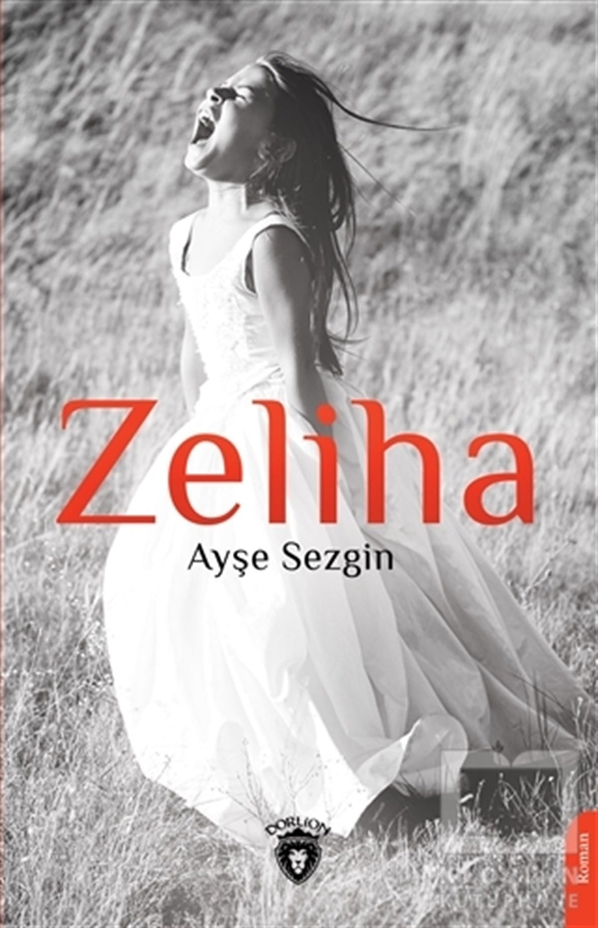 Ayşe SezginTürkçe RomanlarZeliha