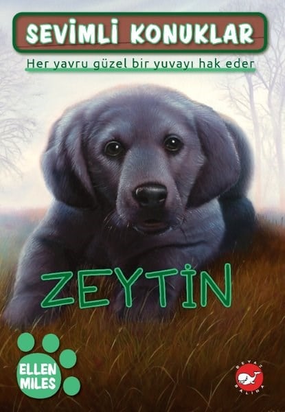 Ellen MilesÇocuk Gençlik RomanlarıZeytin - Sevimli Konuklar 3