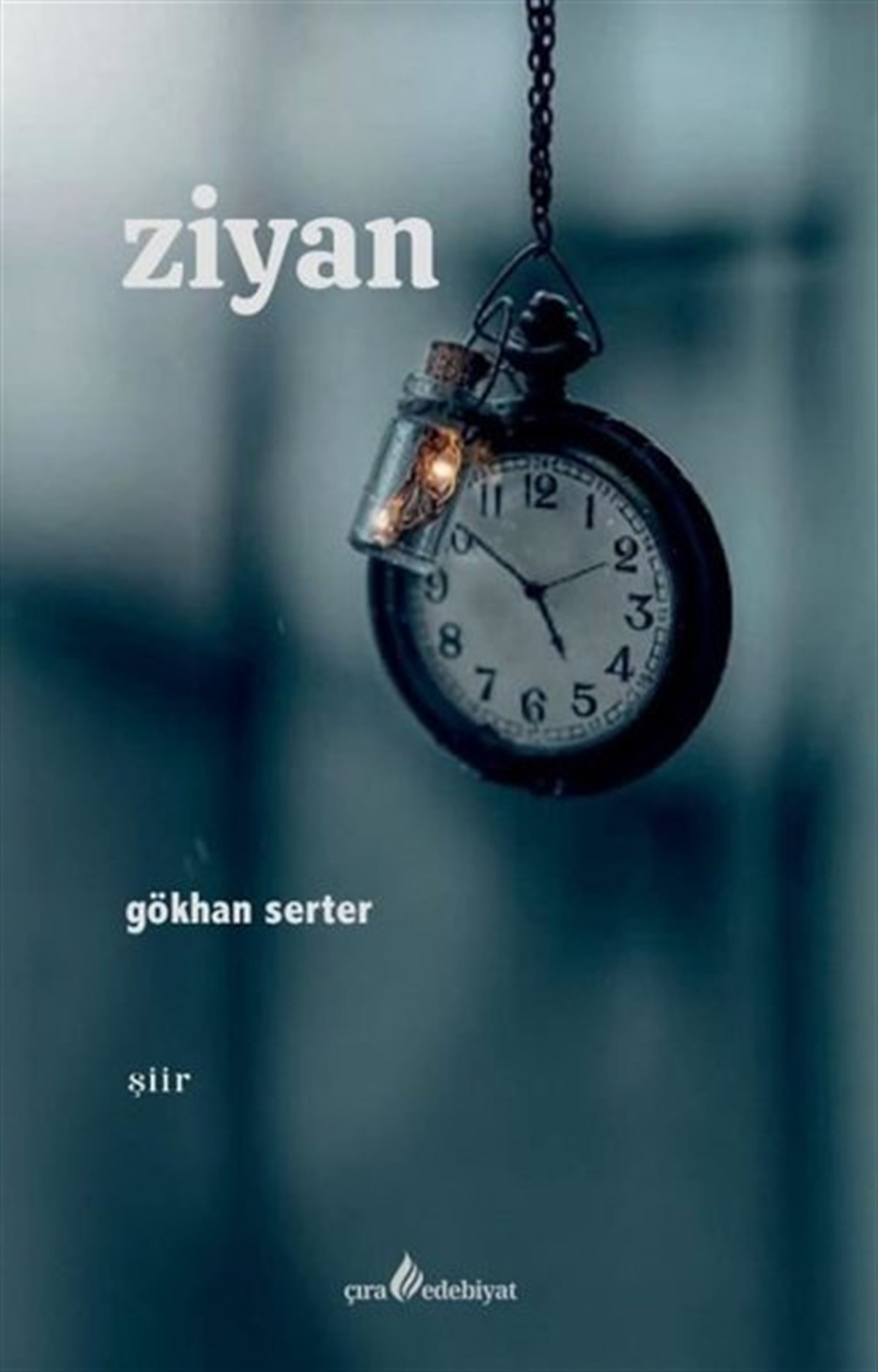 Gökhan SerterTürk ŞiiriZiyan