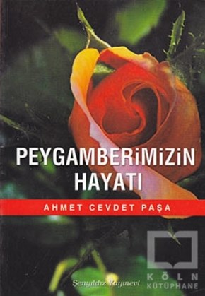 Ahmet Cevdet PaşaDiğerPeygamberimizin Hayatı