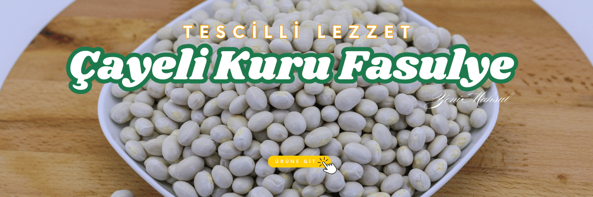 Fındık ve Ceviz çeşitleri En Taze Haliyle Burada!