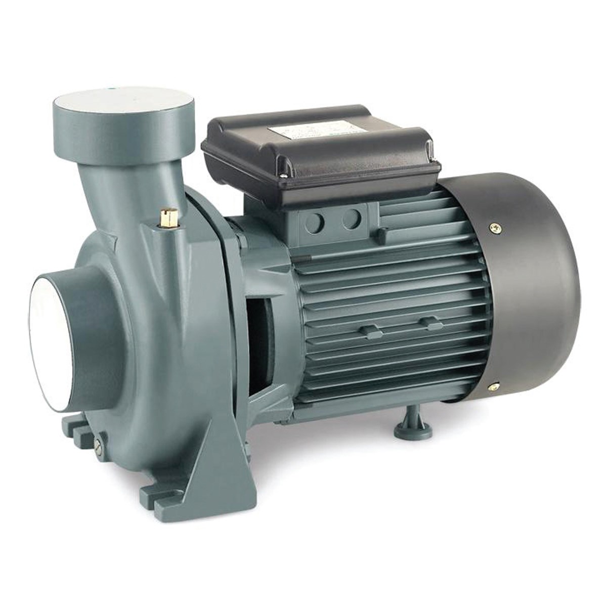 RAINPUMP SHFM5AM Santrifuj Pompa