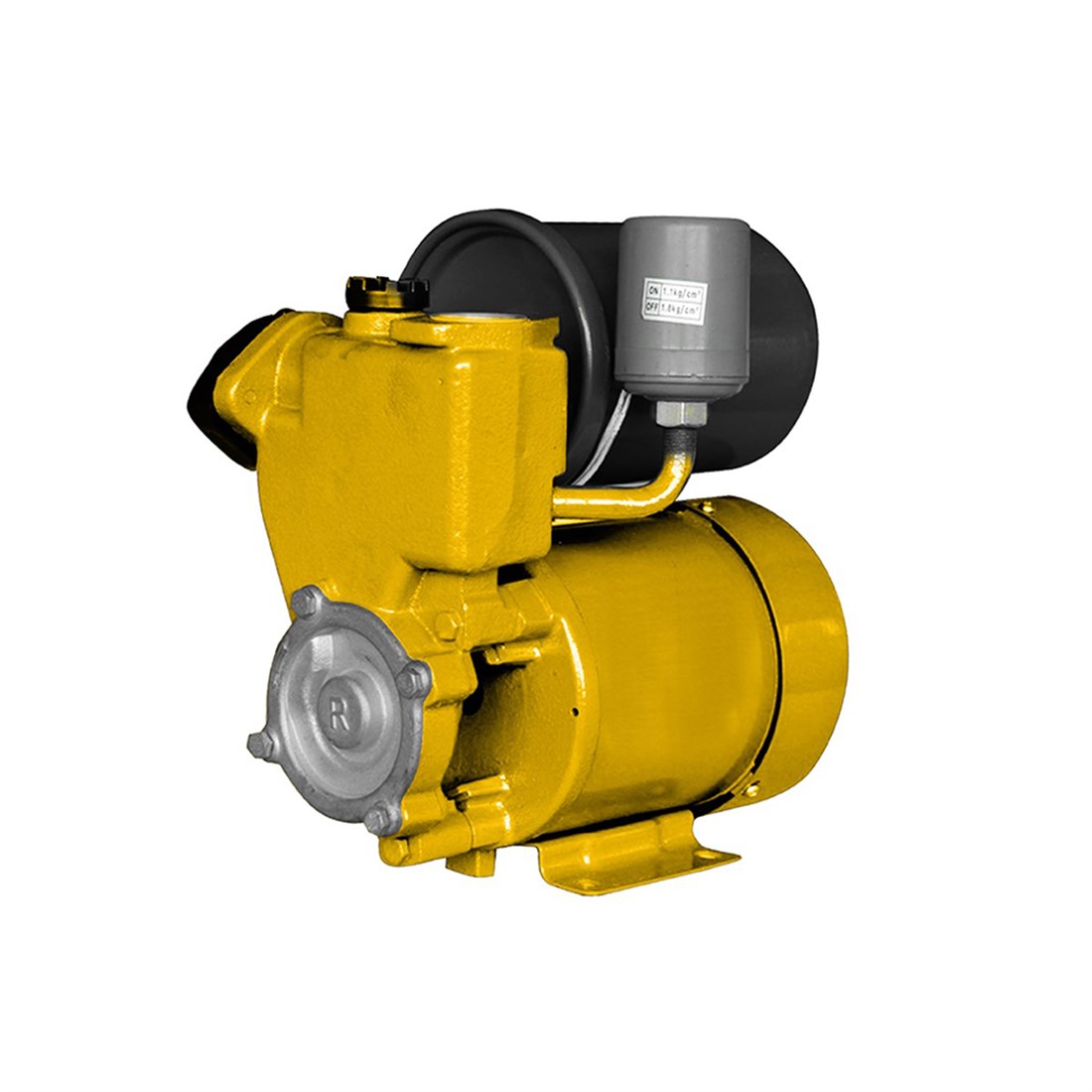 Rtrmax Rtm863 Hidrofor 370W / 0,5 Hp