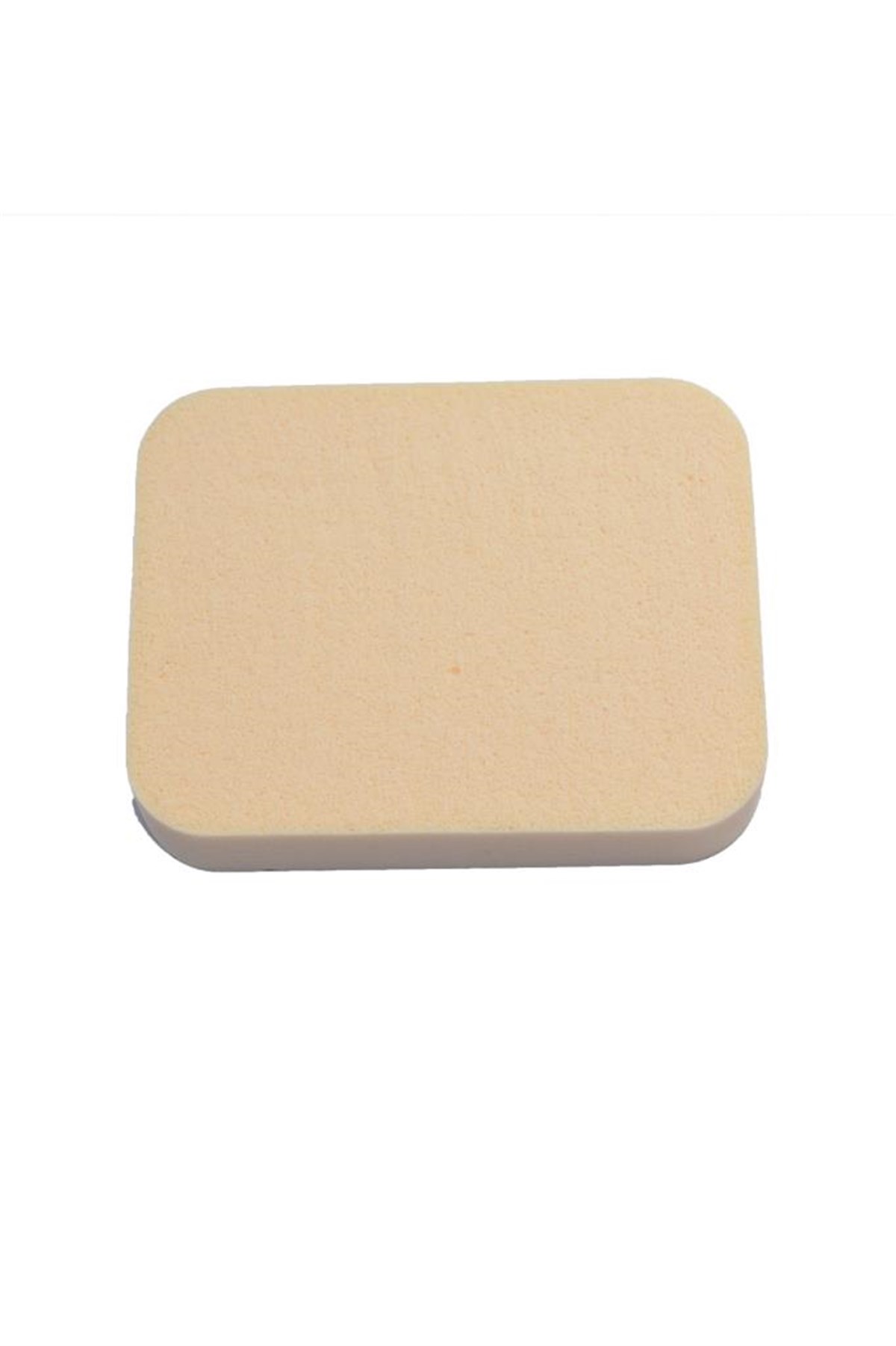 Bien Fondöten Sungeri Kr 61