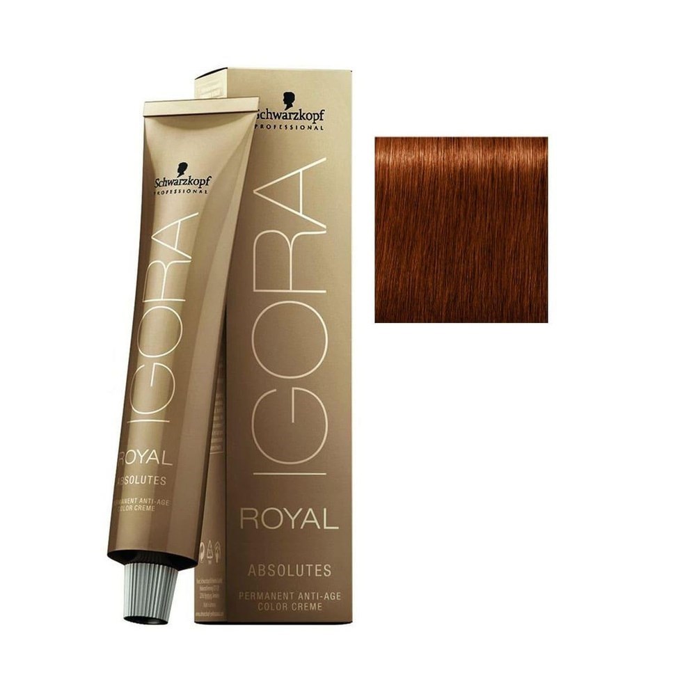 Igora Royal 6-70 Koyu Sarı Doğal Bakır