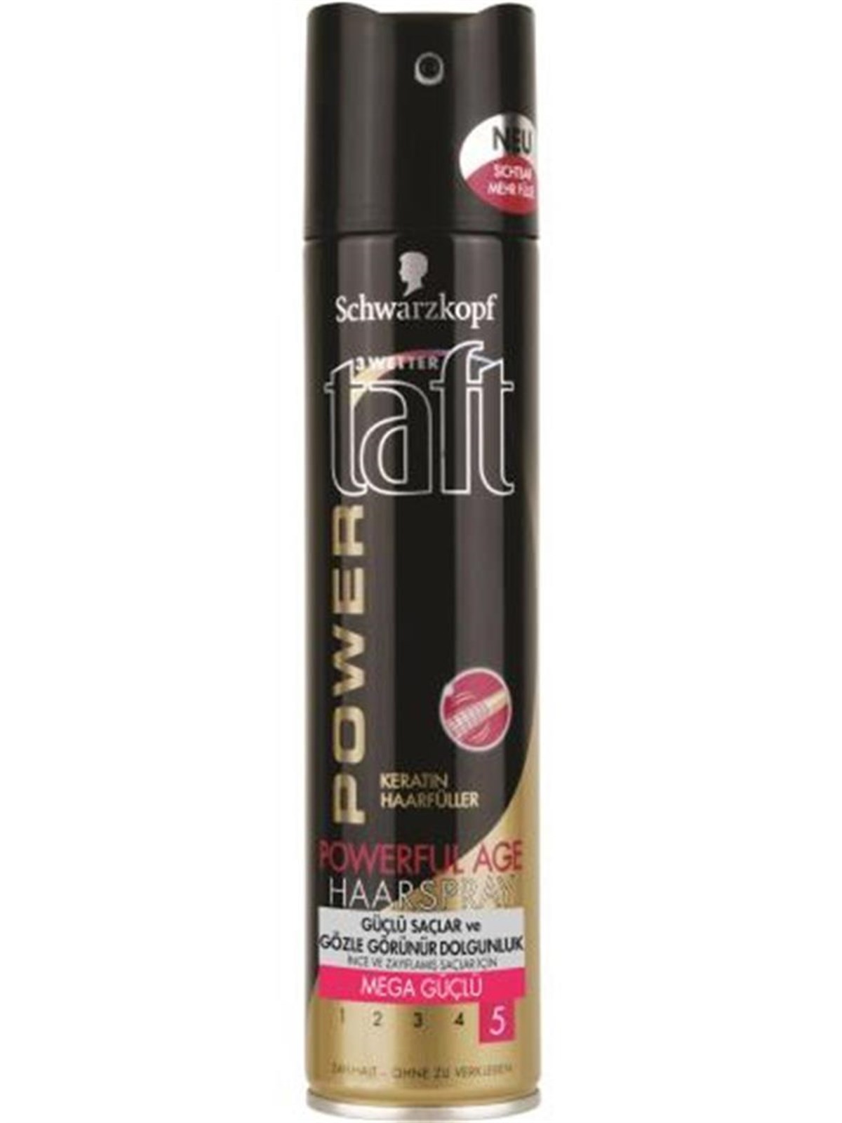 Taft Powerful Age Saç Spreyi 250 ML