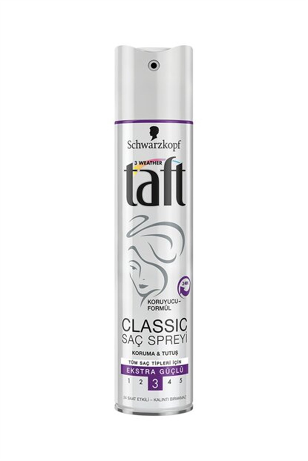 TAFT SAC SPREYI 250 ML CLASSIC GRI