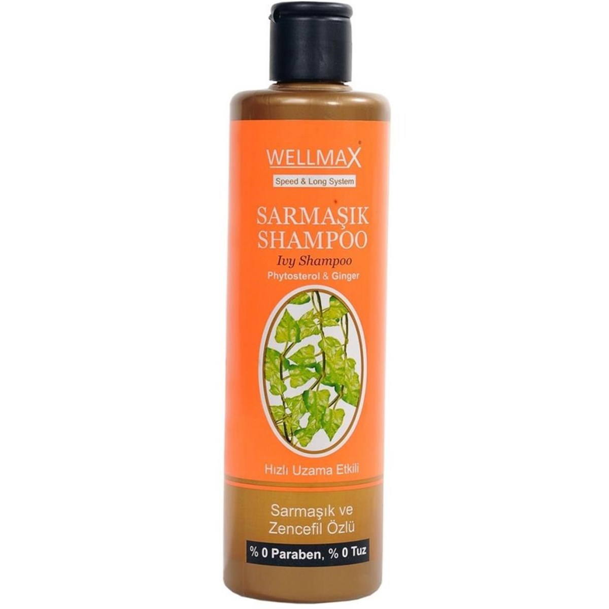 Wellmax Sarımsak ve Zencefil Özlü Saç Kremi 500 Ml