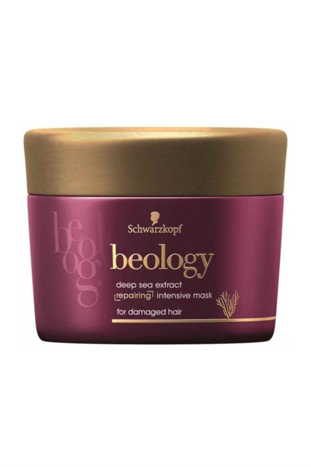 Beology Saç Bakım Maskesi Onarıcı Seri 200 Ml