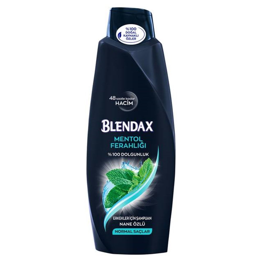 Blendax Mentol Ferahlığı Erkekler İçin 500 Ml