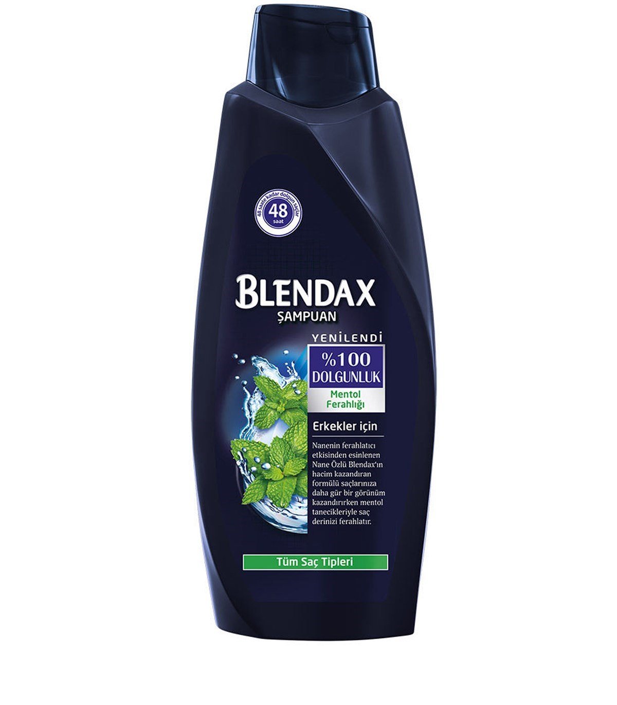 Blendax Şampuan Mentol Ferahlığı 600 Ml