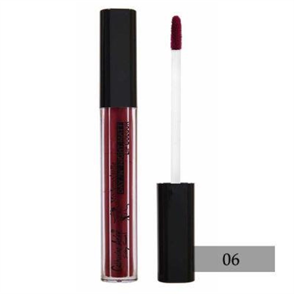 Catherine Arley Likid Ruj Mademoiselle Day'N'Nıght Matt L.Lipgloss No:06