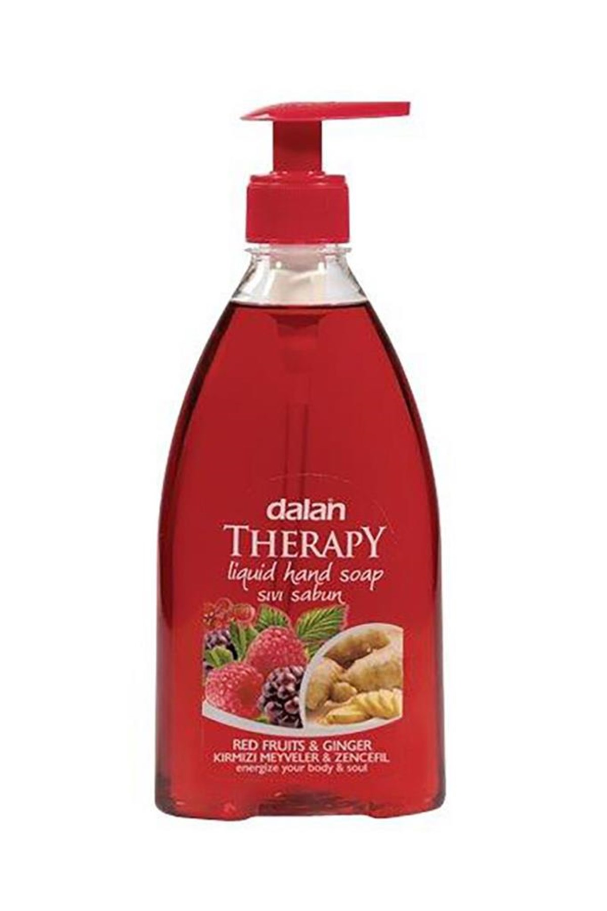 Dalan Sıvı Sabun Meyveler Zencefil 400 Ml