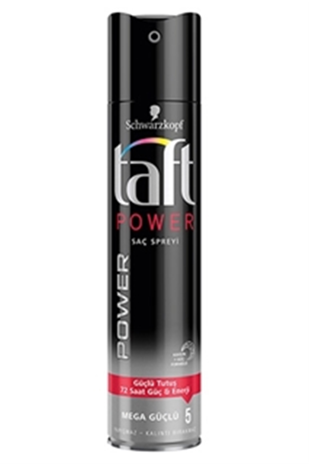 Taft Sac Spreyı 250 Ml Power 250Ml