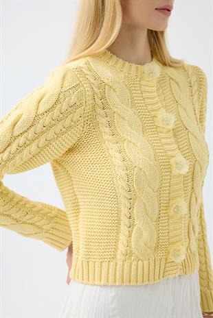 Marilyn Düğme Aksesuarlı Hırka - Sarı 