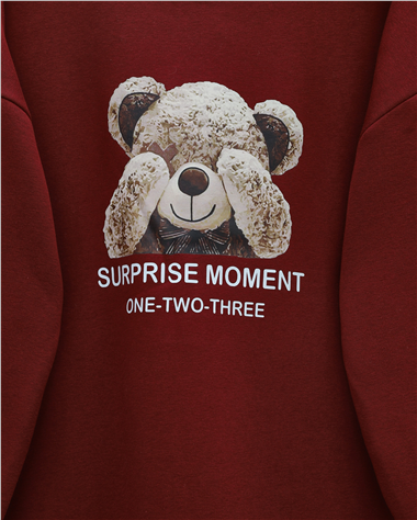 Ayıcık Baskılı Şardonlu 3 İplik Sweat Takım  -Bordo