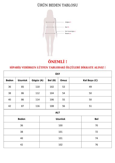 Hakim Yaka Önü Taş Detaylı Pantolonlu Takım -Tarçın