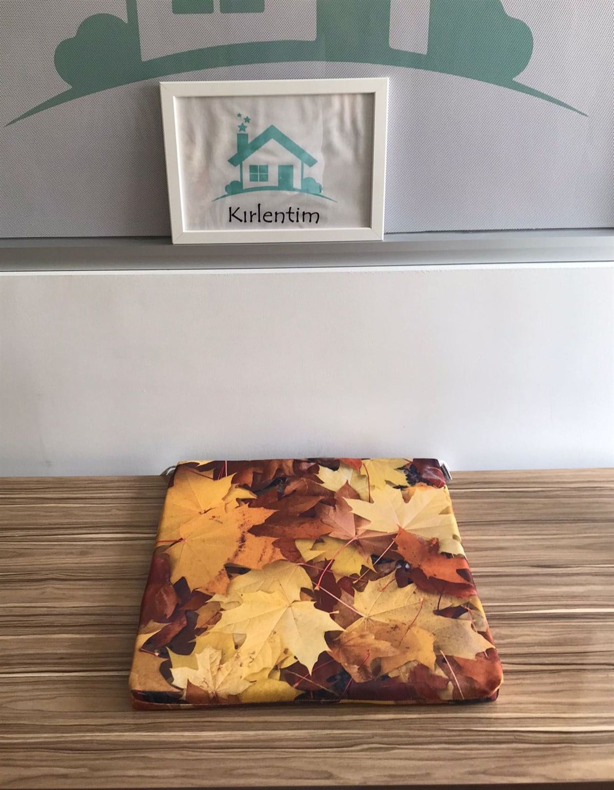 E167 SANDALYE MİNDERİ