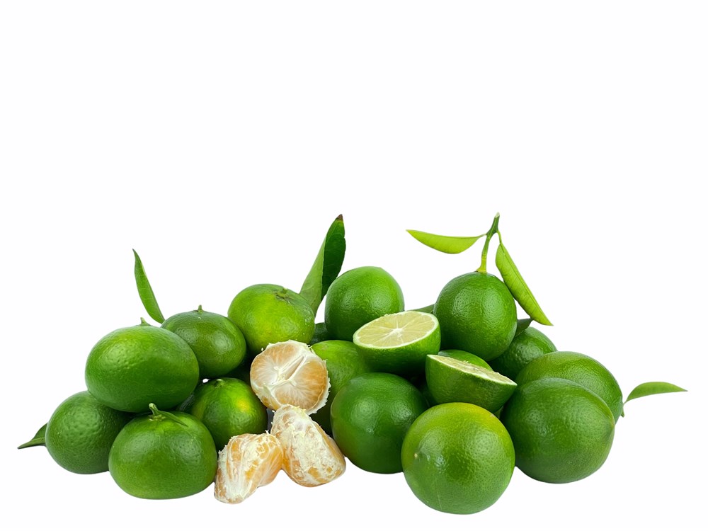 Limon 7 Kg / Mandalina 5 Kg