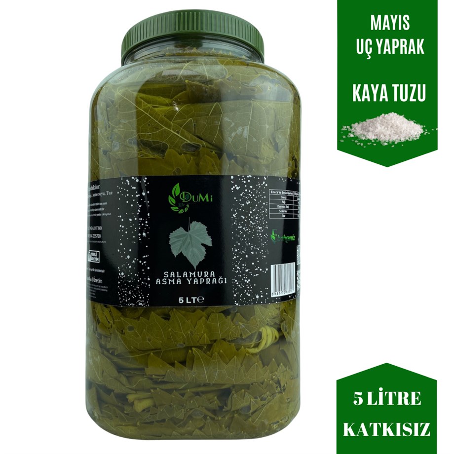 Salamura Yaprak Mersin  5 LT 