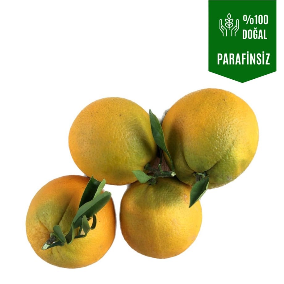 1 Kg Erkenci Portakal  